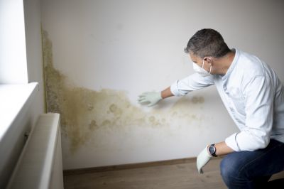 Mold Abatement Service in Jupiter, FL