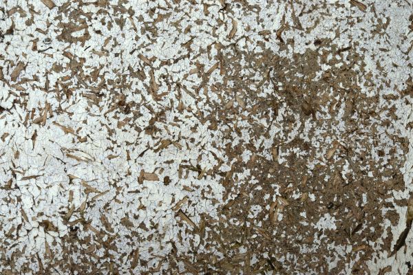 Asbestos Linoleum Tile Removal