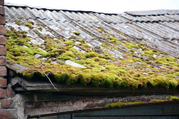 Garage Asbestos Mitigation