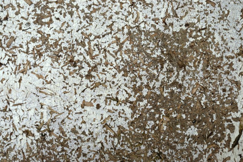 Linoleum Asbestos Removal