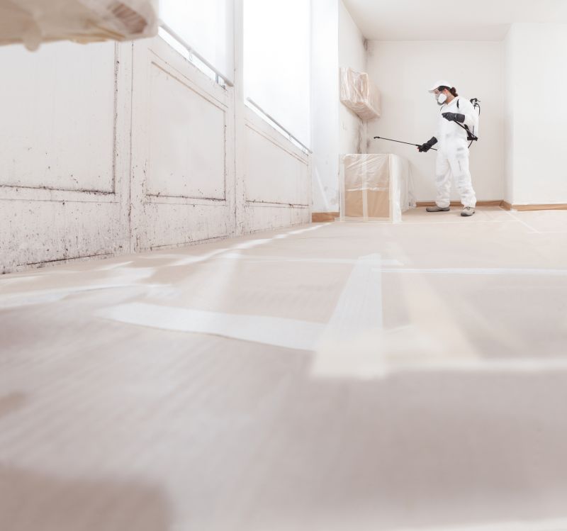 Air Duct Mold Removal in West Palm Beach, FL