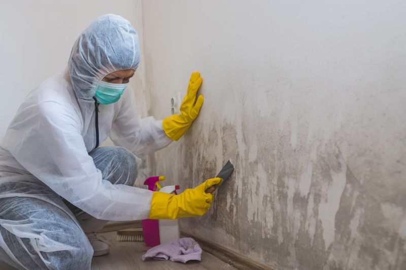 Attic Mold Remediation in Dallas, TX
