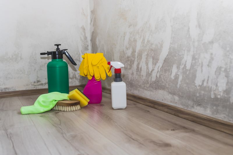 Basement Mold Removal in Bergen County, NJ