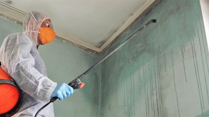 Ceiling Mold Removal in Frisco, TX