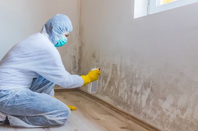 Garage Mold Remediation in Fort Worth, TX