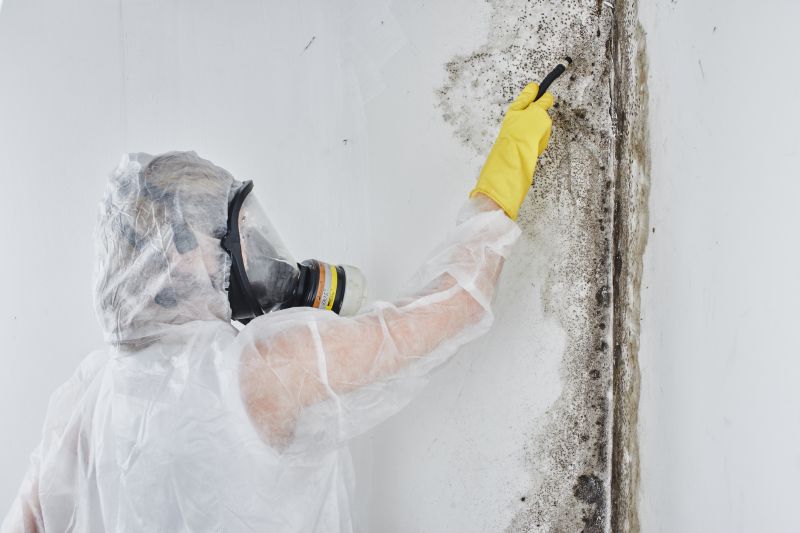 Mold Abatement in Fort Worth, TX